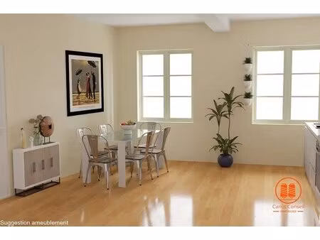 superbe t3 rénové avec vue dégagée (dpe : b)