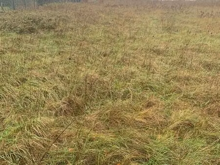 vente terrain 1289 m² artemare (01510)