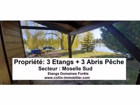en vente terrain constructible 300 ares – 244 000 € |château-salins