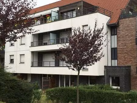 t3 à louer - bailleul (59270) - collège