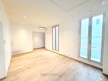 frontière monégasque - professionnel