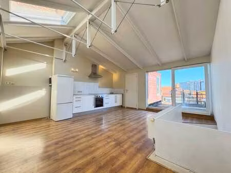 localisation aaa — lumineux penthouse 1 chambre + terrasse