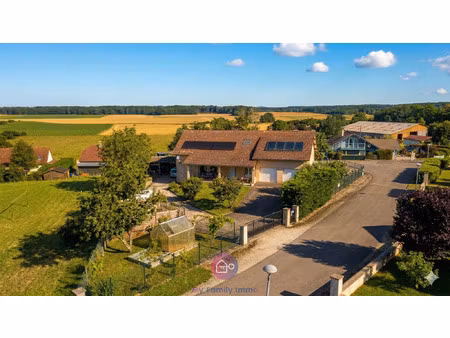 exclusivité rosey (70)