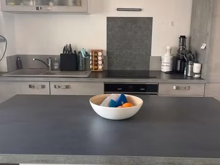 bel appartement lumineux