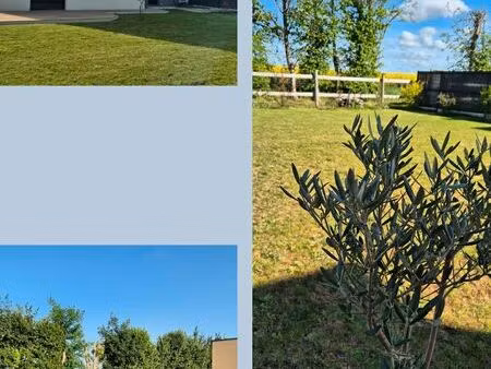 location maison soliers