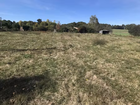 vente terrain 2381 m² à l'isle-en-dodon (31230)  25 000 €