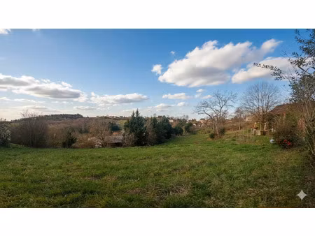 vente terrain 2400 m² à serres-sainte-marie (64170)  38 000 €