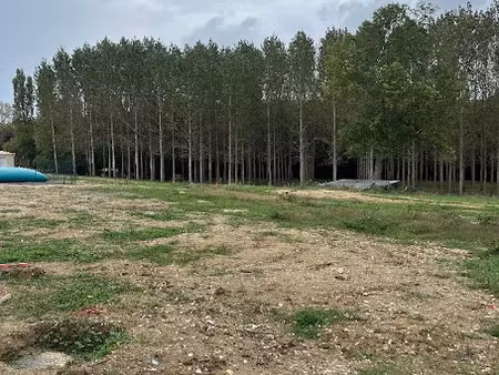 vente terrain 445 m² à prignac-et-marcamps (33710)  72 000 €