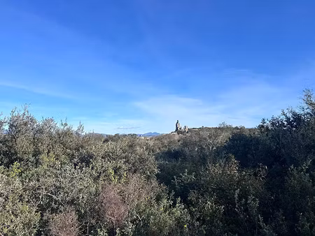 vente terrain 6015 m² à chamaret (26230)  68 000 €
