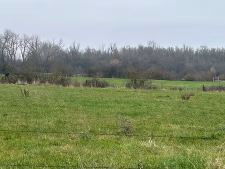 vente terrain 1500 m² à hinges (62232)  75 000 €