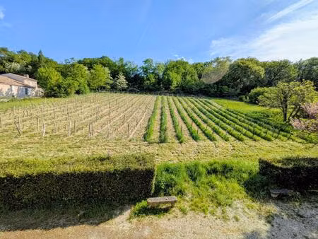 vente maison 230 m² lestiac-sur-garonne (33550)