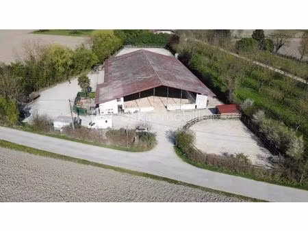 etablissement équestre en activité sur 9 ha - isère (38)