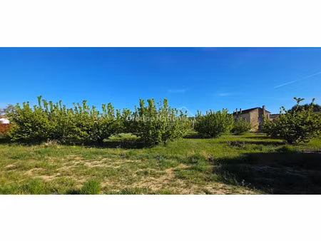 vente terrain 1052 m² à cavillargues (30330)  129 000 €