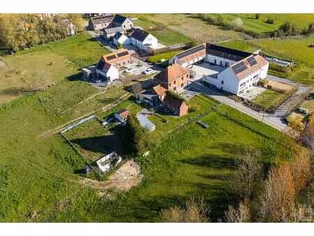 opportunité unique à ellezelles sur 2991m2