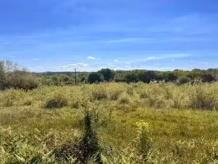 vente terrain 9870 m² à sorde-l'abbaye (40300)  210 000 €