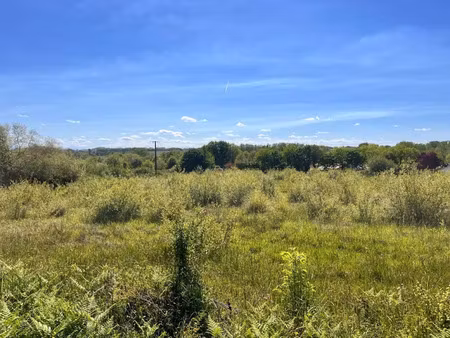 vente terrain à batir 9870 m² à sorde-l'abbaye (40300)  210 000 €