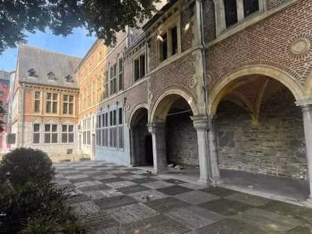 magnifique et exceptionnel hôtel particulier à usage mixte