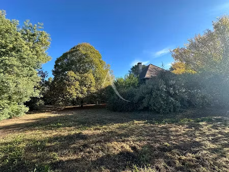 vente terrain 1312 m² à buzet-sur-tarn (31660)  110 250 €