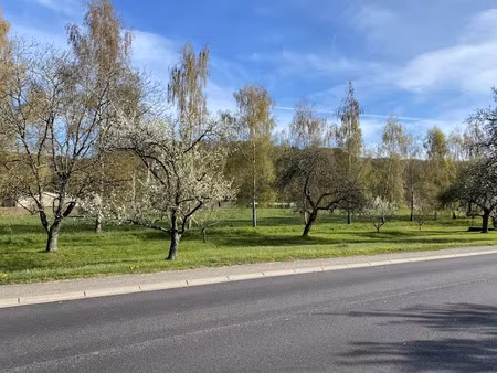 vente terrain à hargarten-aux-mines (57550)  98 900 €