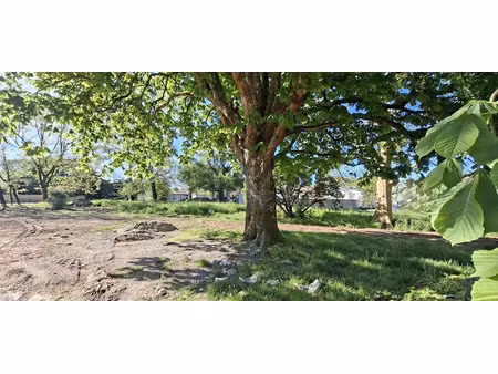vente terrain 1000 m² à bressols (82710)  99 000 €