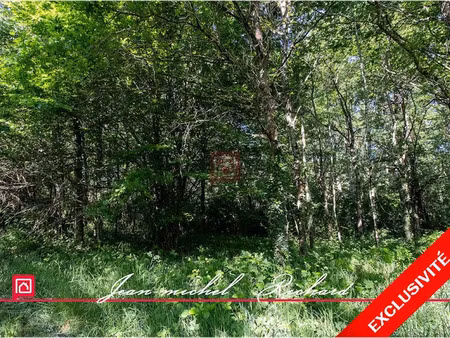 vente terrain 101030 m² à le controis-en-sologne (41700)  95 990 €