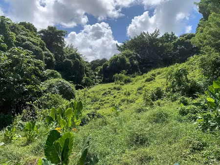 vente terrain 2664 m² à ducos (97224)  247 000 €