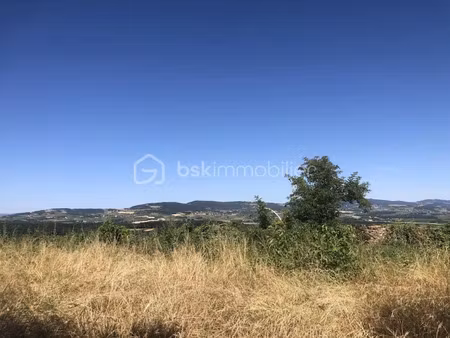 vente terrain 981 m² à anse (69480)  275 000 €