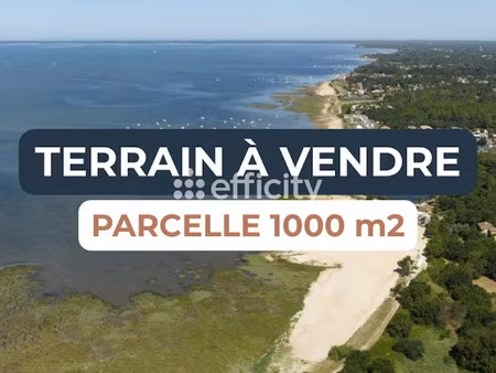 vente terrain 1000 m² à lanton (33138)  314 000 €