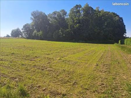 terrain 2 400 m² sarlande