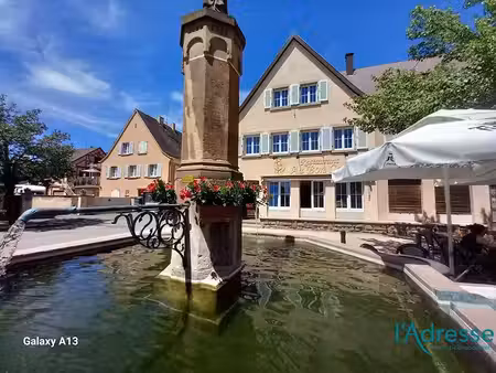 vente locaux professionnels 0 pièces 180 m² à kaysersberg (68240)  130 000 €