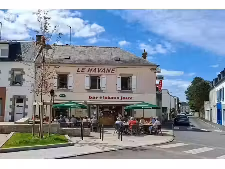 vente locaux professionnels 0 pièces 250 m² à saint-renan (29290)  315 000 €