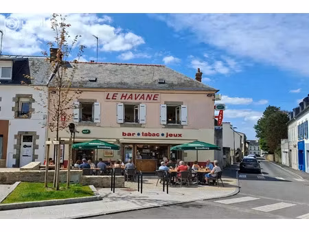 vente locaux professionnels 250 m² à saint-renan (29290)  315 000 €