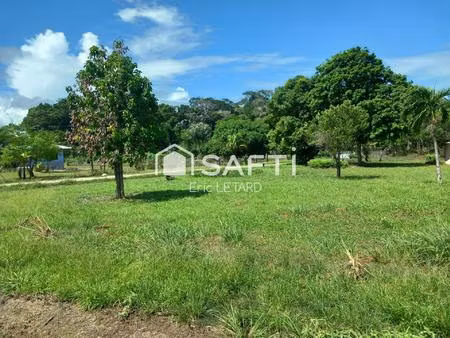 terrain constructible