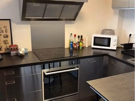 t2 46 m2 quartier vert buisson