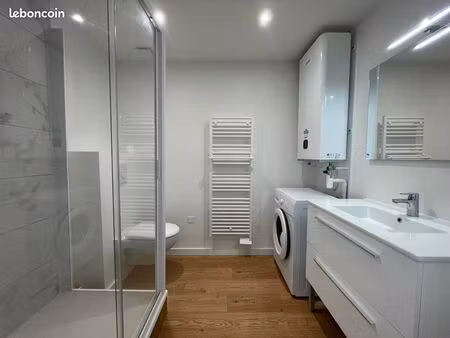 beau loft meublé vichy centre