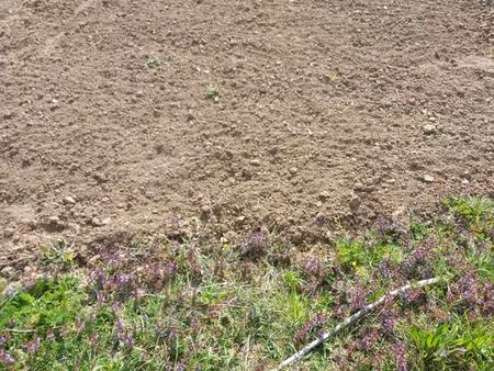 location jardin potager