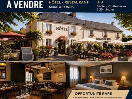 vente locaux professionnels 10 pièces 600 m² à chateauroux (36000)  428 000 €