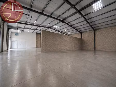 vente locaux professionnels 1 pièce 871 m² à saint-jory (31790)  976 500 €