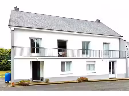 maison a vendre 10 pieces - mesanger