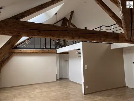 magnifique loft type 4 quartier gare