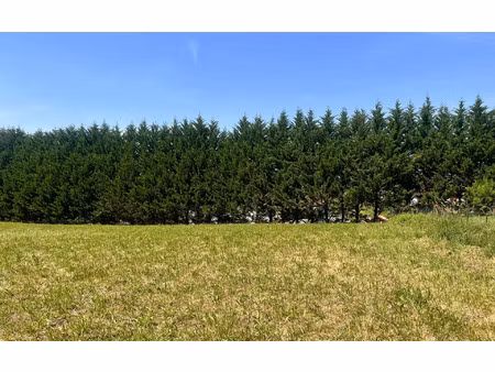 terrain guiche m² t- à vendre  95 000 €