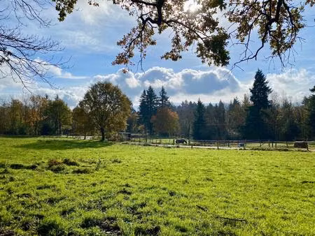 grand terrain à bâtir