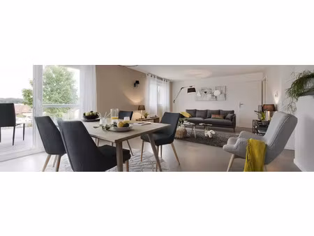 vente appartement 1 pièce 51 m² hésingue (68220)