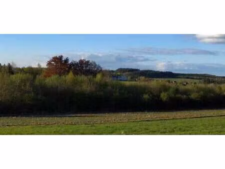 bois de 5 hectares avec étang à remettre en état