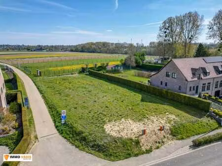 vente - terrain constructible bilzen-hoeselt - 144 000 €