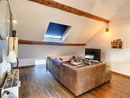 appartement 1 chambre à louer à forrières - nassogne