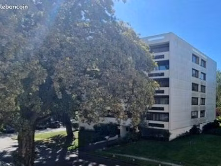 studio 1 pièce 15 m²