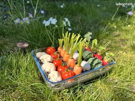 location jardin potager