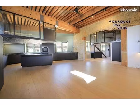 loft 3 pièces 100 m²