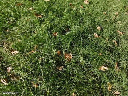 terrain perrex- 793 m² hors lotissement